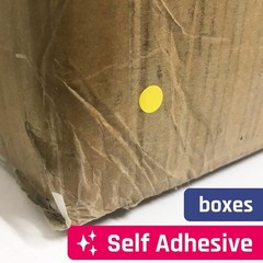 6000 Pack, 1/4 Small Colored Dot Stickers round Labels – 10 Colors
