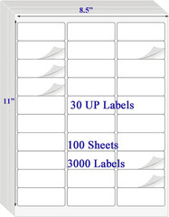 1″ x 2-5/8″ Shipping Labels 100 Sheets 3000 Count for Laser Inkjet Printers
