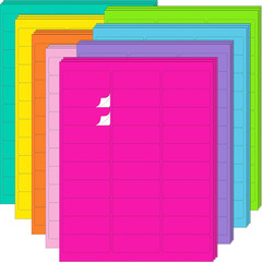 2″ X 4″ Colored Labels Stickers 24 Sheets, 240 Labels for Laser/Inkjets