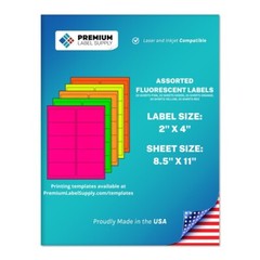 1000 Assorted Fluorescent Color 2″ x 4″ Neon Address Labels 10 per sheet