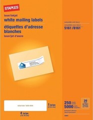 Staples 489561 Laser/Inkjet Address Labels 1-Inch x 4-Inch