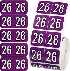 500Pcs 2026 Year Stickers, 3/4X1-1/2 Inch File Folder Labels 26 Year Colored Sel