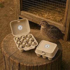 320 Pcs Quail Eggs Carton Labels, 2 Inch Round Fresh Quail Eggs Handling Stic…