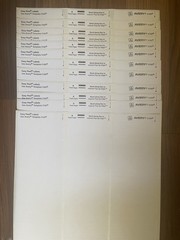 Avery Address Labels 8160 & 48160 Easy Peel 22 Sheets PLUS BONUS SHEETS