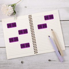 500pcs 2026 Year Chart Stickers, 3/4×1-1/2 Inch -Adhesive 26 Data Year Label …