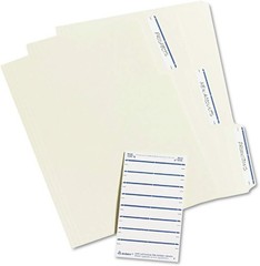 Permanent File Folder Labels, 11/16 x 3 7/16, White/Dark Blue Bar, 252/Pack