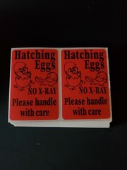 100 Handle with care Hatching Eggs shipping labels 3″ x 2″ no x-ray u pick