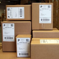 40ROLL 4″X6″ 250P/R Direct Thermal Shipping Label for Zebra LP2824 ZP450 ZP505