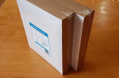 250 Sheets/250 Labels Pro Office Self-adhesive shipping Label with Tear Off USA