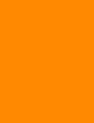 – 8-1/2 X 11 Neon Color High Light Fluorescent Labels for Laser & Inkjet Printer