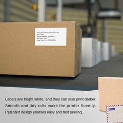 DYMO LW 30256 Compatible LARGE Direct Thermal Address Labels – (30) Rolls of 300