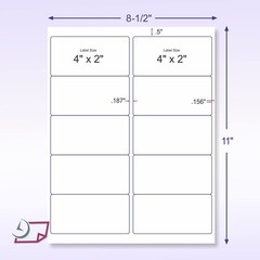 Assorted Fluorescent Labels | 5 Colors – 10 Labels Per Sheet, 4 x 2″ – 25 Sheets
