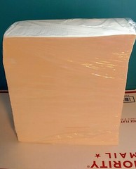 100 Fanfold 4″ x 8″ Sticker Direct Thermal Labels Shipping Barcode Zebra UPS