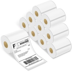 10Rolls fit for DYMO LW 4XL Direct Thermal Shipping Labels 220/Roll 1744907 4″x6