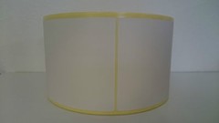 500 BLANK Direct Thermal Labels 100 mm x 150 mm – for Zebra, Toshiba, Intermec