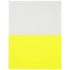 Neon Yellow Half Page Shipping Labels 5.5 x 8.5 Inches 50 Pack