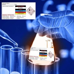 Chemical Identifying and Marking Sticker Christmas SDS 2×4 inch, Multicolored