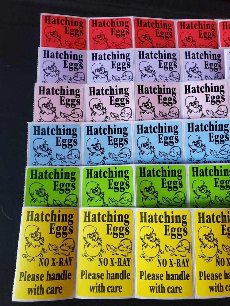 100 Handle with care Hatching Eggs shipping labels 3″ x 2″ no x-ray u pick
