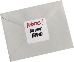 Removable White Labels (0.75 x 1 in), 1000 Count – Effortless Organization