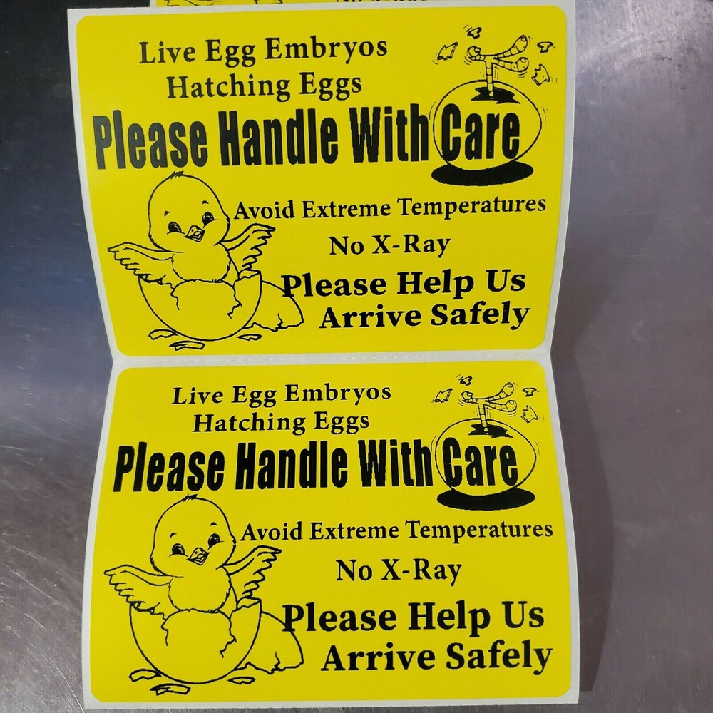 50 Large 4″ x 3″ Handle with care Hatching Eggs No Arrow Mailing Shipping Label