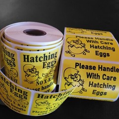 1000 2″ x 3″ Handle with care Hatching Eggs shipping labels sticker U pick