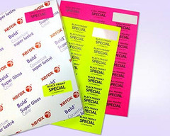 – 8-1/2 X 11 Neon Color High Light Fluorescent Labels for Laser & Inkjet Printer