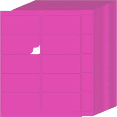 2″ X 4″ Colored Labels Stickers 24 Sheets, 240 Labels for Laser/Inkjets