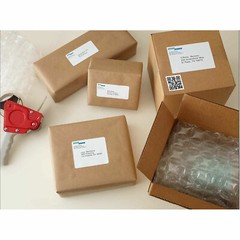 Mixed Sizes 240 Pc Koala Shipping Label, Address Label, Return Lable, Name Label