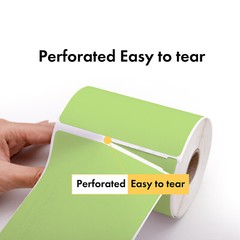 DYMO LW 30256 COLOR Large Direct Thermal GREEN Shipping Labels – (1) Roll of 300