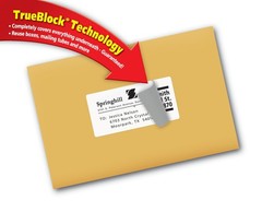 Avery 18163 Shipping Labels – 2″ x 4″ White Paper,TrueBlock®,Laser/Inkjet,100 Ct