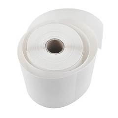 L LIKED 10 Rolls 4 x 6 Direct Blank Thermal Shipping Labels with 250 Labels/Roll