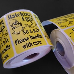 1000 2″ x 3″ Handle with care Hatching Eggs shipping labels sticker U pick
