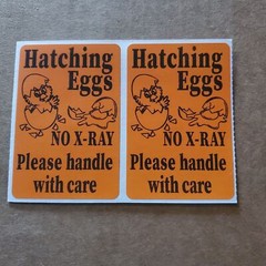 100 Handle with care Hatching Eggs shipping labels 3″ x 2″ no x-ray u pick