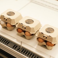 500 PCS Fram Fresh Eggs Carton Labels with Collection Date 2 Inches Natural B…