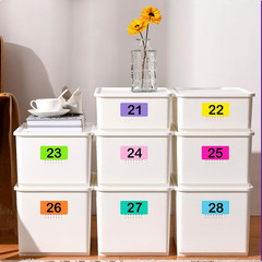 2″ X 4″ Colored Labels Stickers 24 Sheets, 240 Labels for Laser/Inkjets